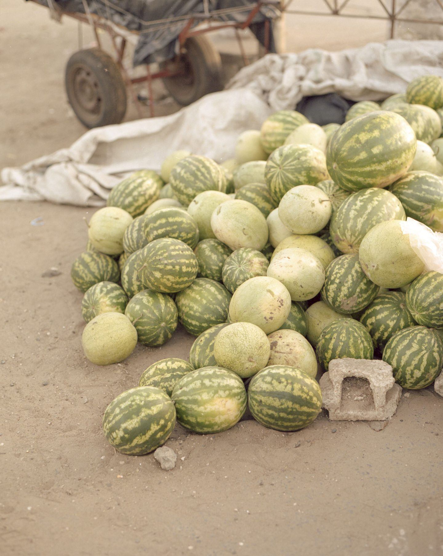 IGNANT-Photography-Mark-Rammers-Saint-Louis-Senegal-011