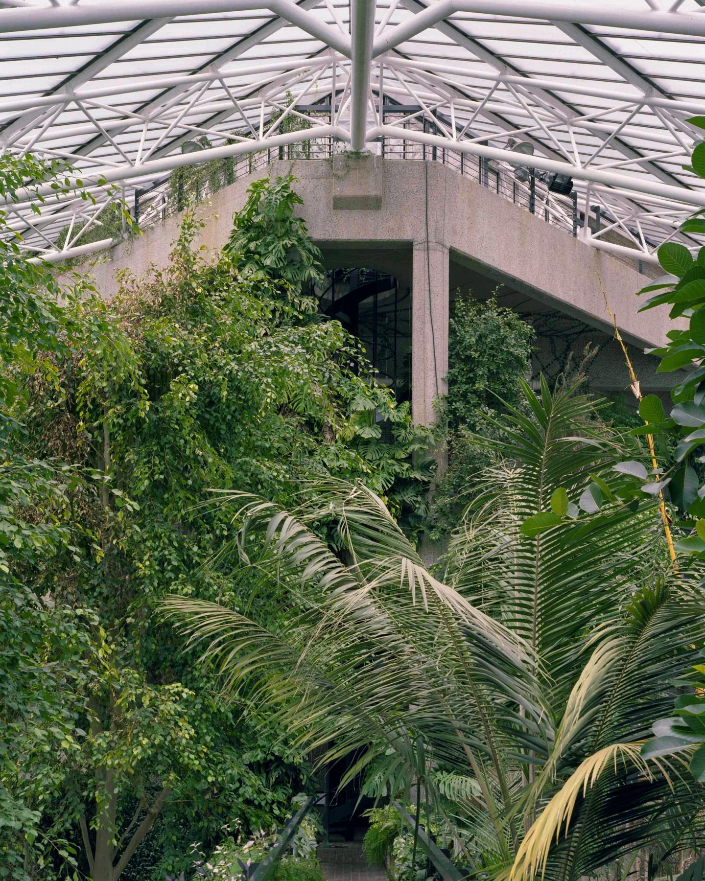 IGNANT-Travel-Luke-Hayes-The-Barbican-Conservatory-01