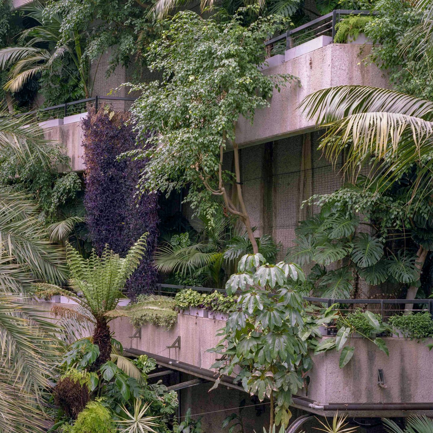 IGNANT-Travel-Luke-Hayes-The-Barbican-Conservatory-03