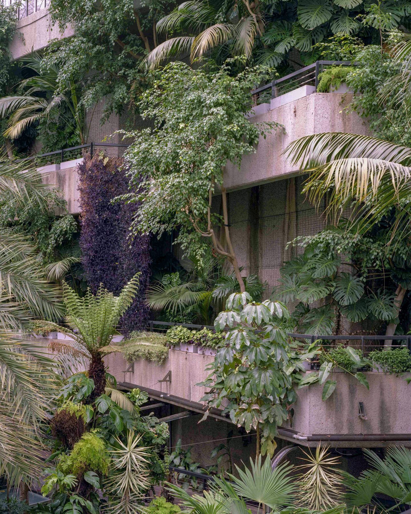 IGNANT-Travel-Luke-Hayes-The-Barbican-Conservatory-03