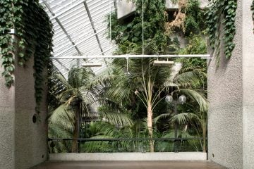 IGNANT-Travel-Luke-Hayes-The-Barbican-Conservatory-05