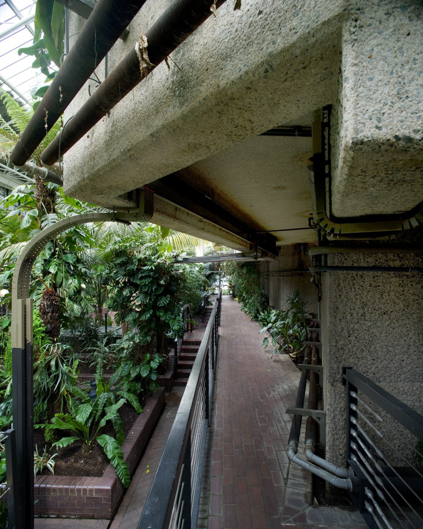 IGNANT-Travel-Luke-Hayes-The-Barbican-Conservatory-07