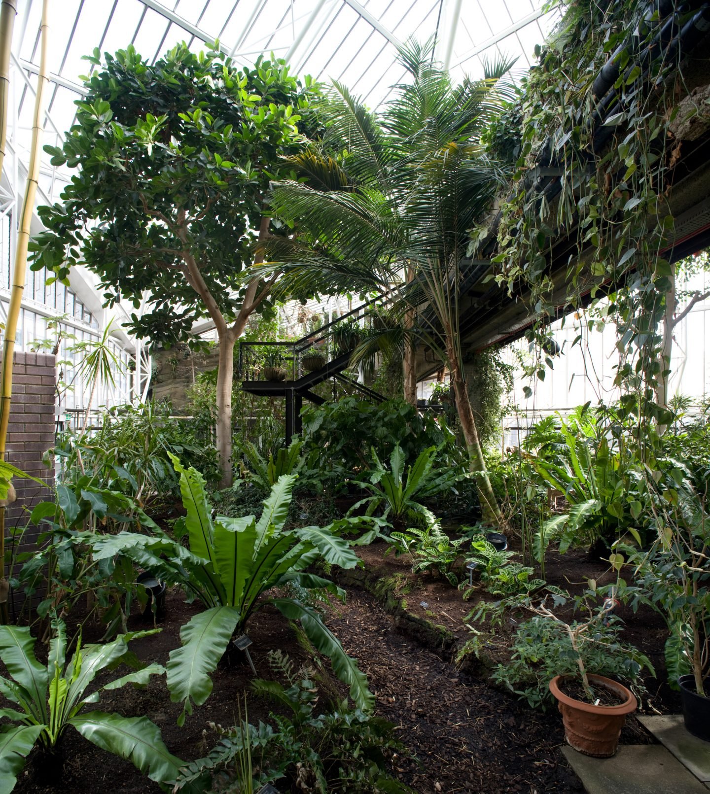 IGNANT-Travel-Luke-Hayes-The-Barbican-Conservatory-09