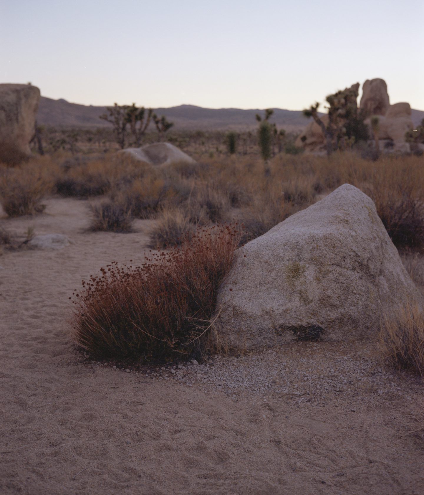 IGNANT-Photography-Clement-Chapillon-Meet-California-03