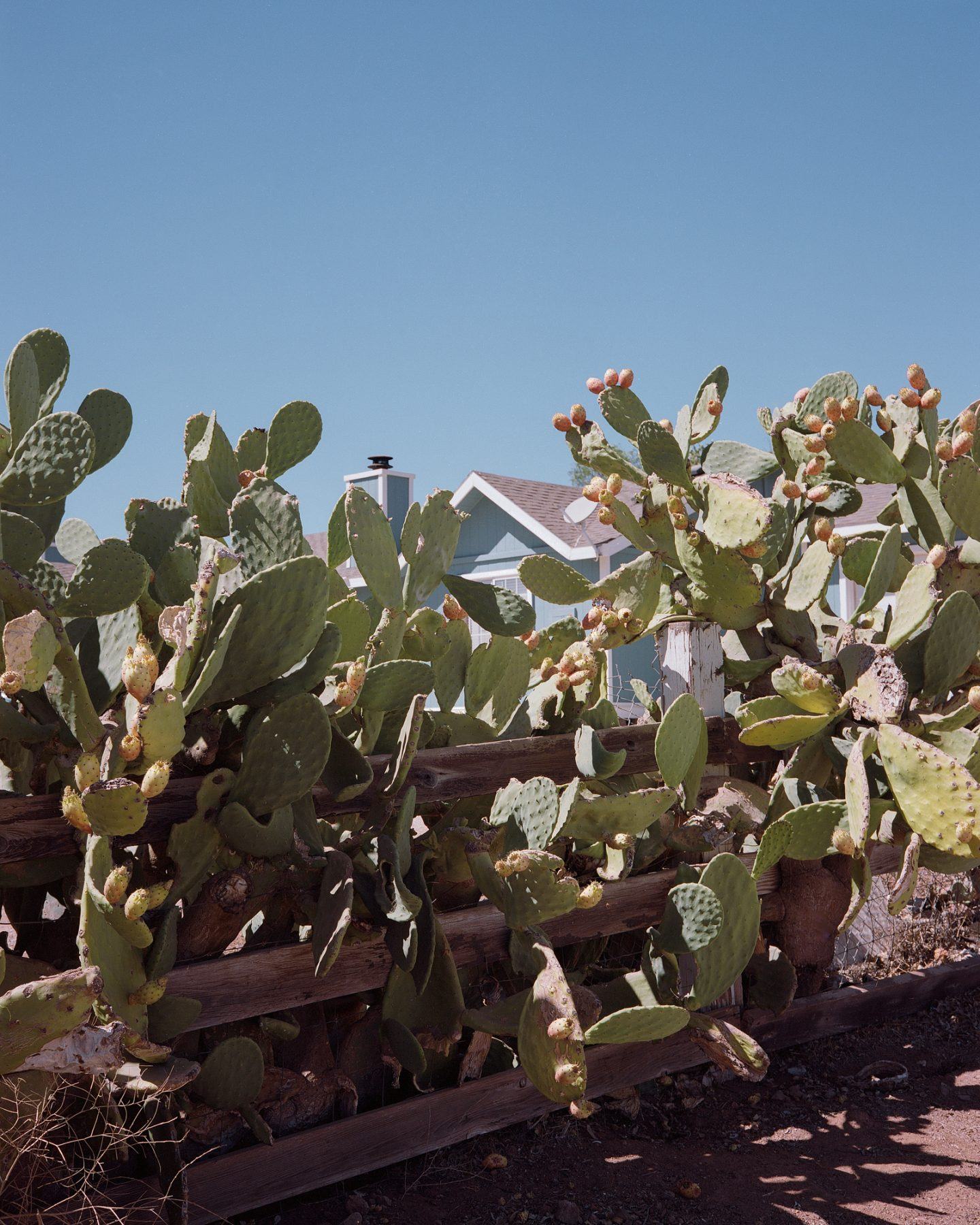 IGNANT-Photography-Clement-Chapillon-Meet-California-04