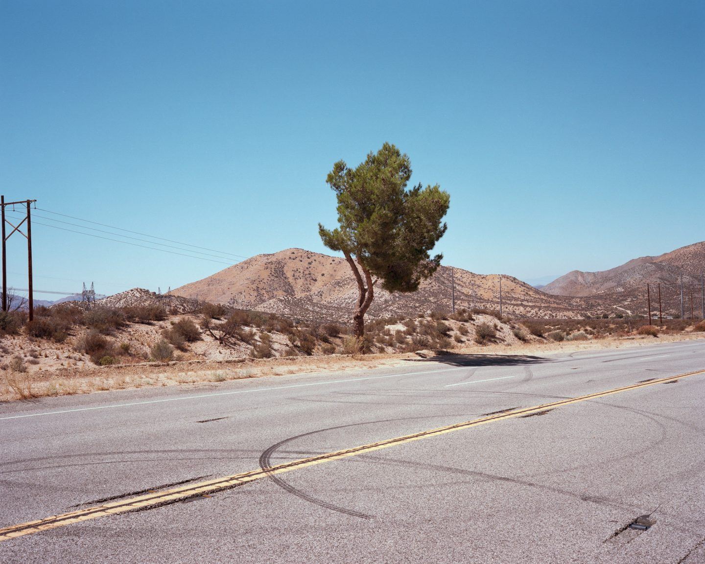 IGNANT-Photography-Clement-Chapillon-Meet-California-05