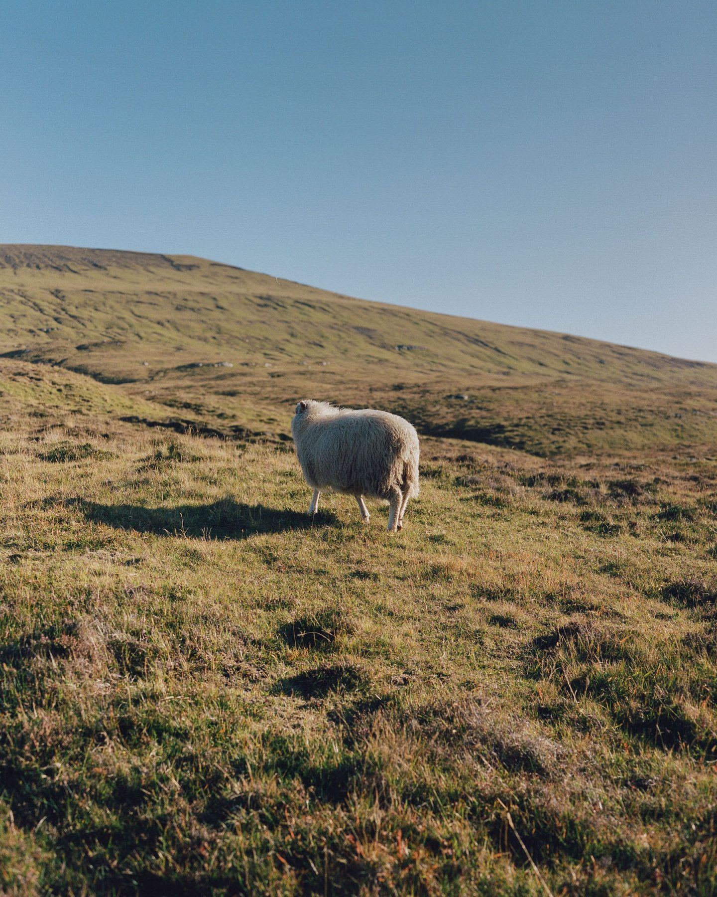 IGNANT-Photography-Armin-Tehrani-Faroe-Islands-03