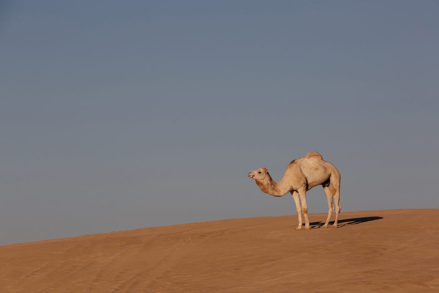 IGNANT-Photography-Denisova-Tunisia-08