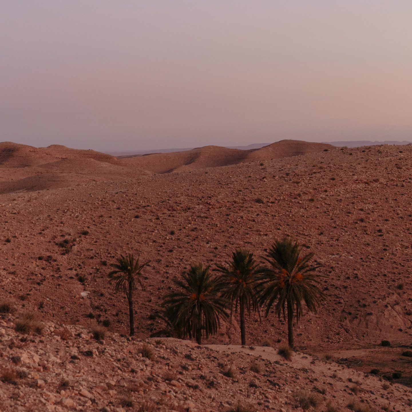 IGNANT-Photography-Denisova-Tunisia-Intro