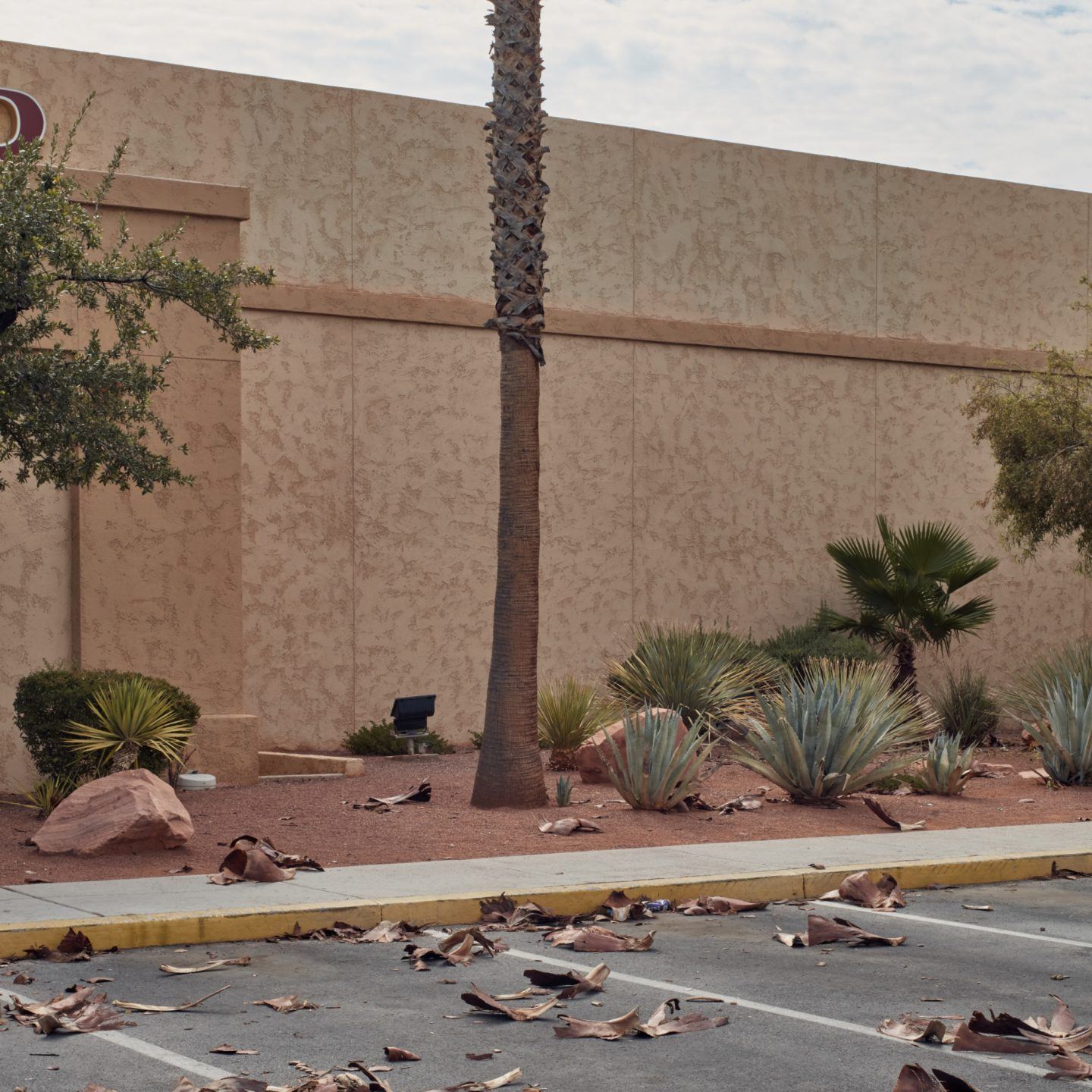 IGNANT-Photography-Ross-Mantle-North-Las-Vegas-014