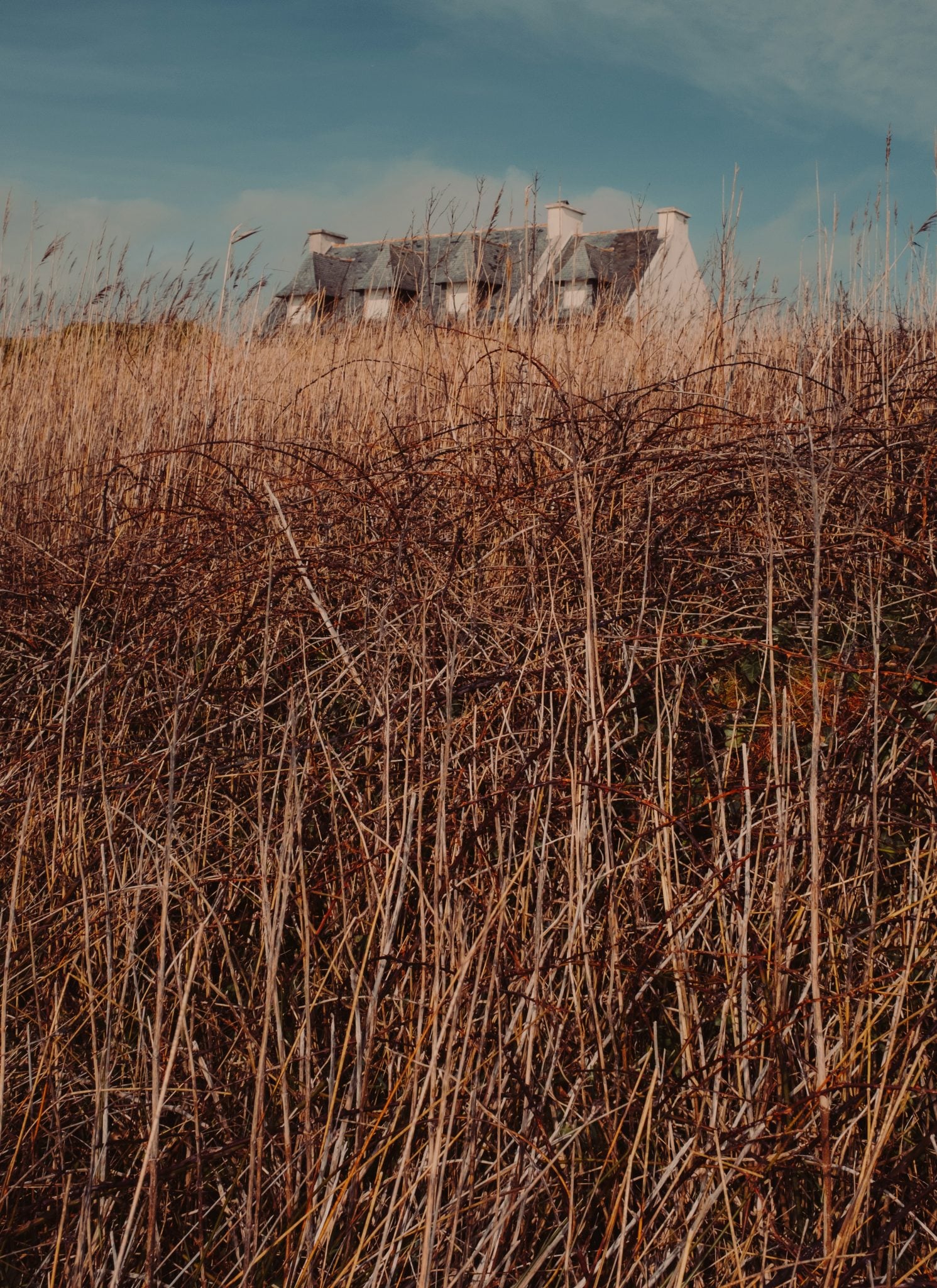 Between Reality And Fiction, Letizia Le Fur Creates Powerful