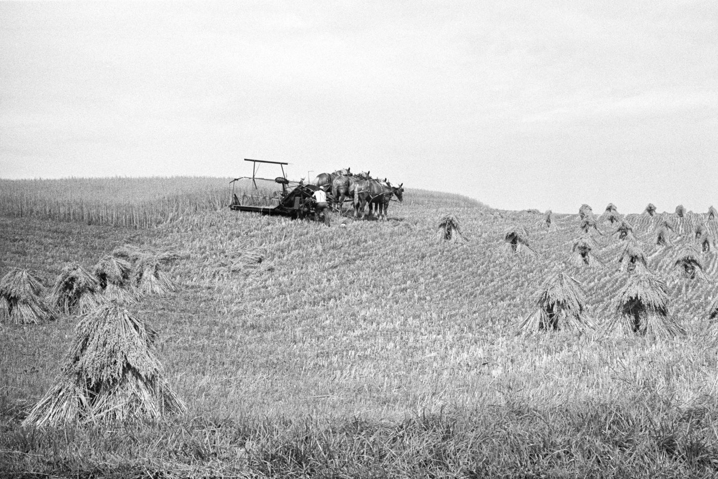 The Locusts Is Jesse Lenz’s Captivating Portrayal Of The