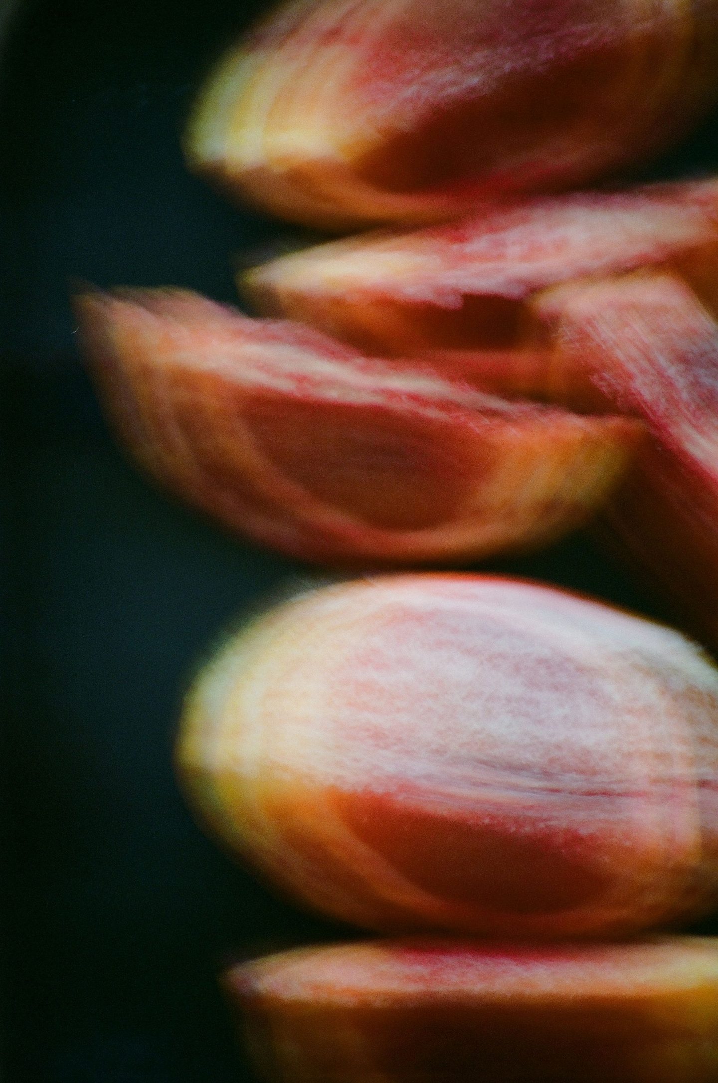 a blurred photograph of blood orange wedges on a dark background from Lina Scheynius photo - essay for Tabayer jewelry