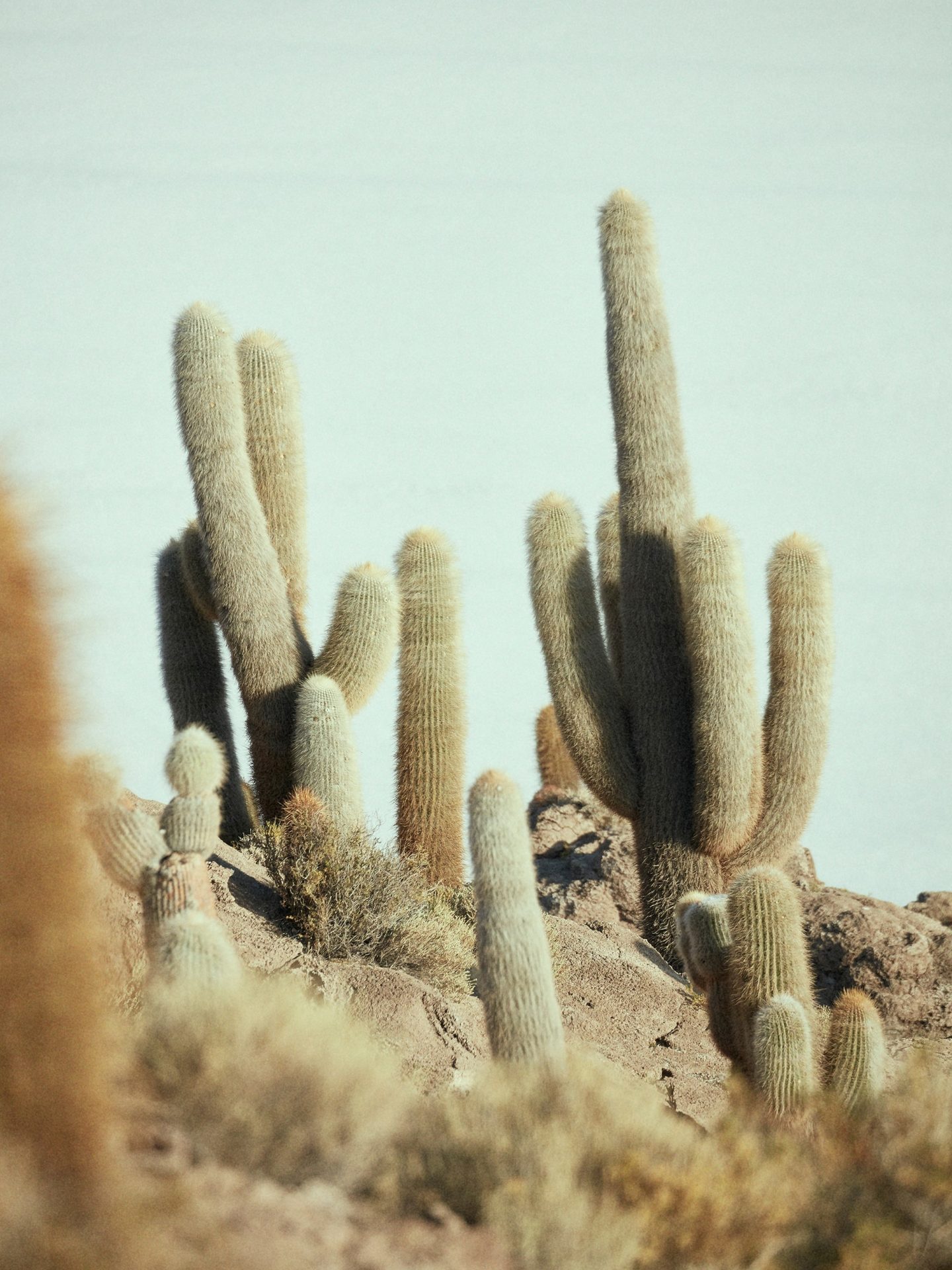 IGNANT-Photgraphy-Landscape-ToddClaree-10-IslaIncahuasi-Bolivia-min