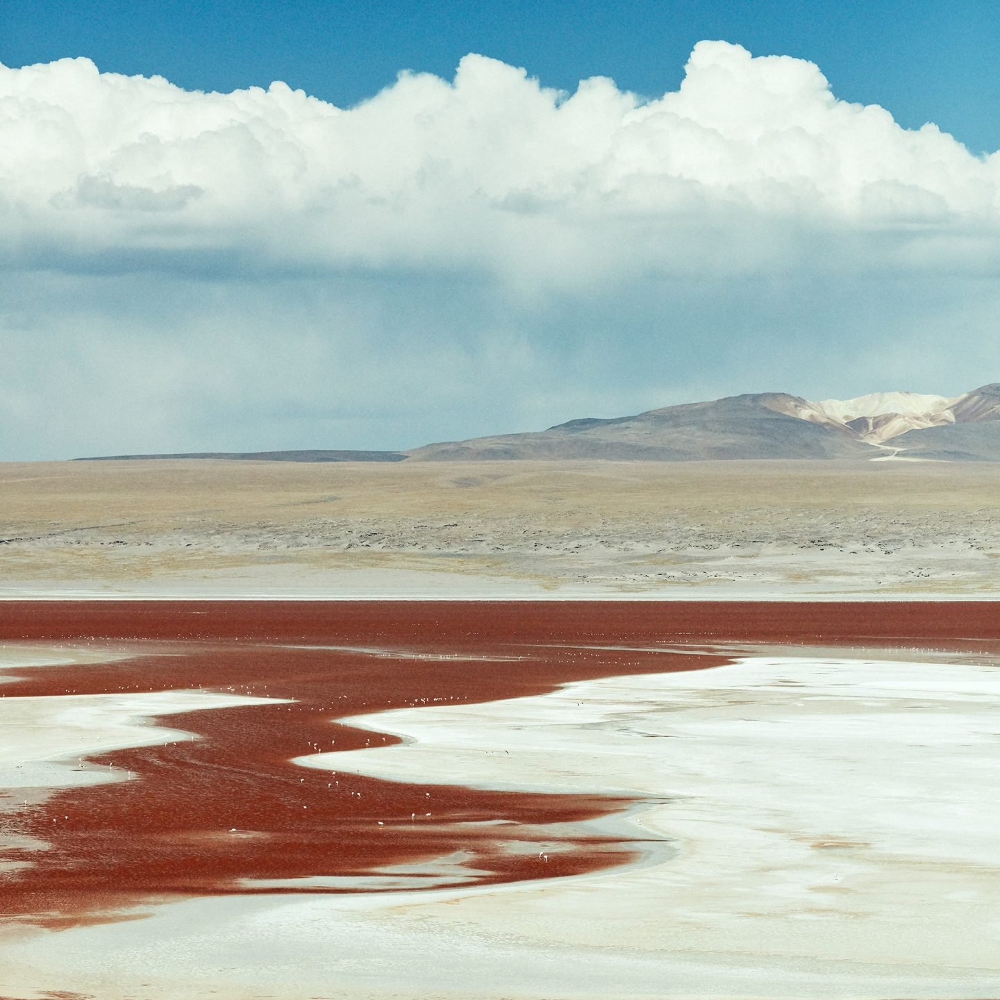 IGNANT-Photgraphy-Landscape-ToddClaree-6-LagunaColorado-Bolivia-min