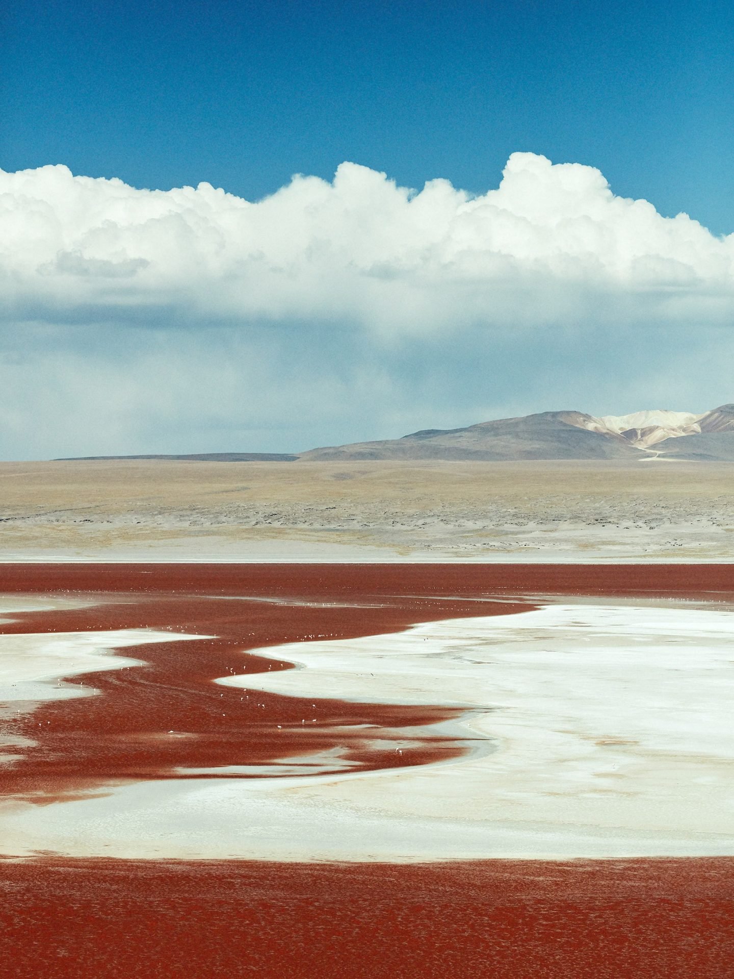 IGNANT-Photgraphy-Landscape-ToddClaree-6-LagunaColorado-Bolivia-min