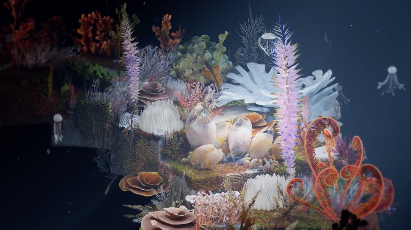 ignant-video-coral-arena-05-1440x806.jpg