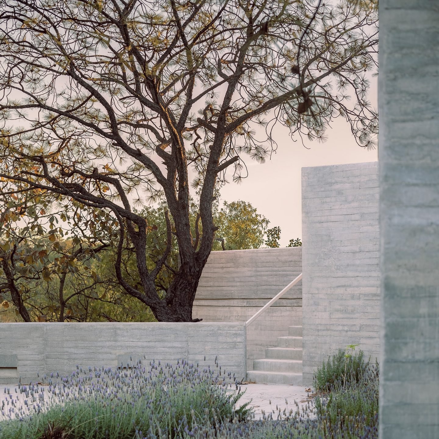 IGNANT-Architecture-CasaAmapa-RenéPerezGómez-011