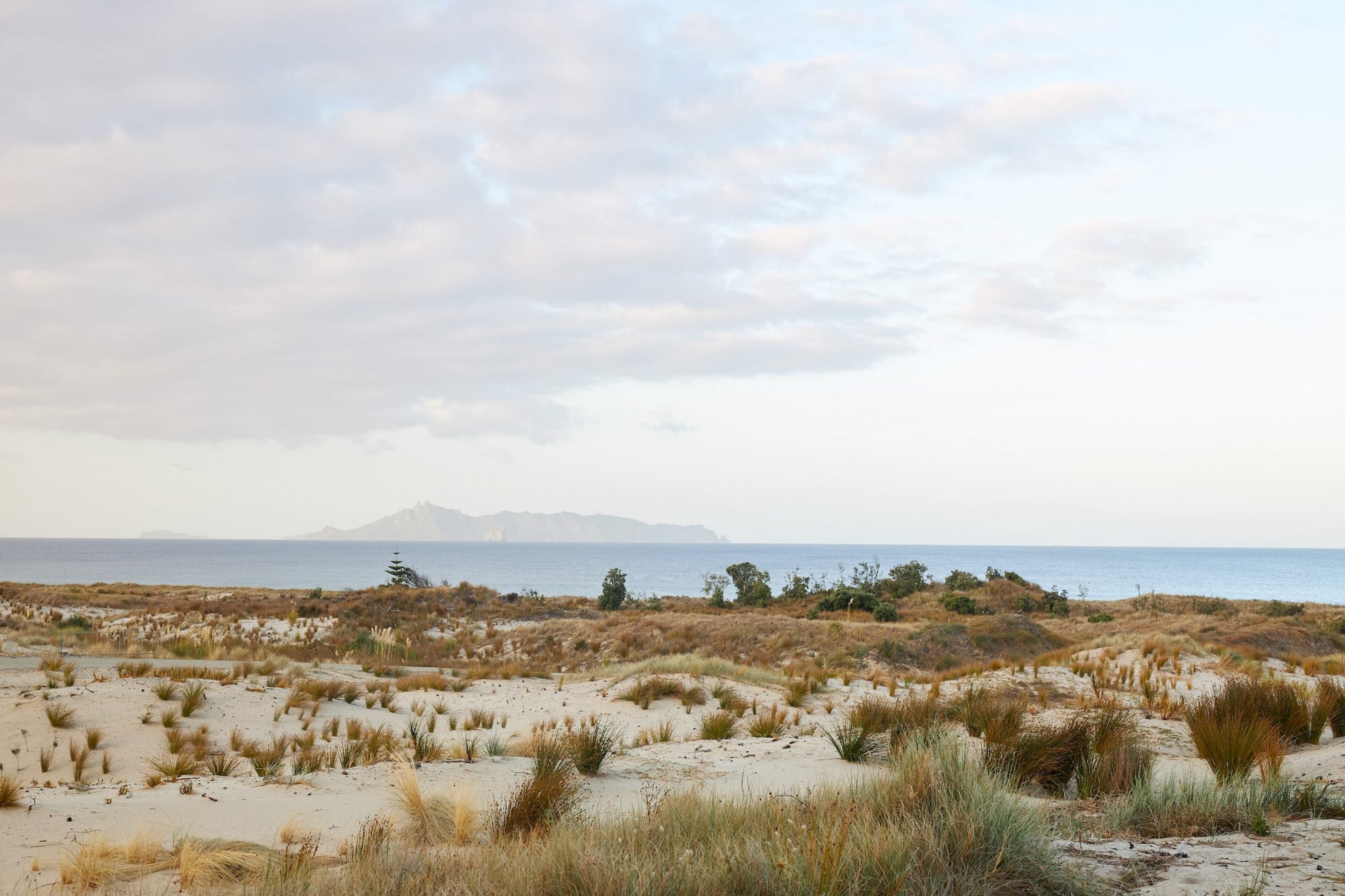 IGNANT-Architecture-Fearon-Hay-Te Arai Beach House-016