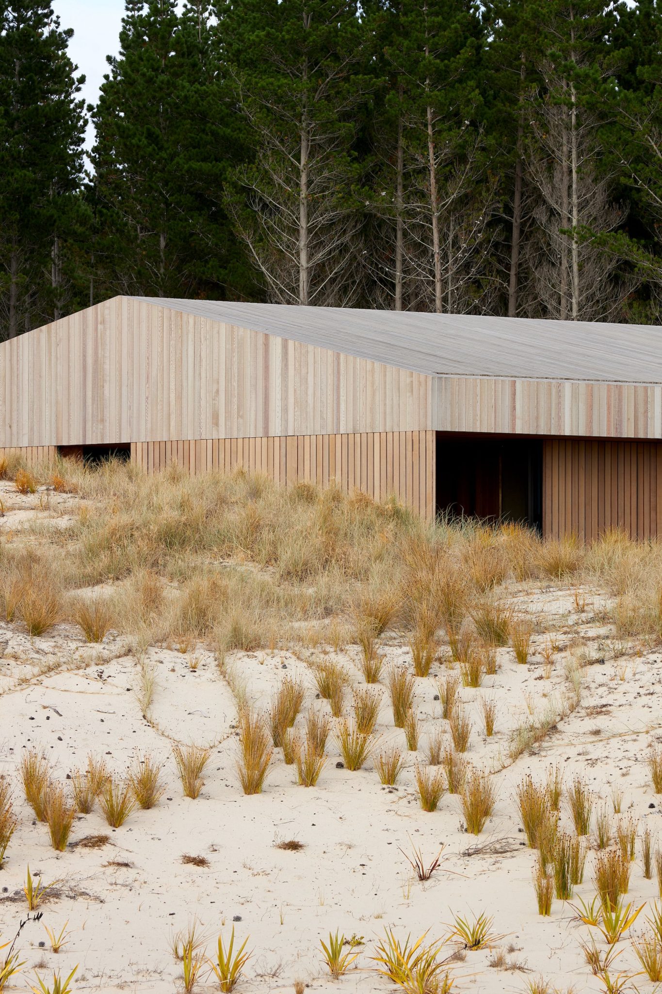 Fearon Hay’s Te Arai Beach House, A Coastal Timber Home Along The