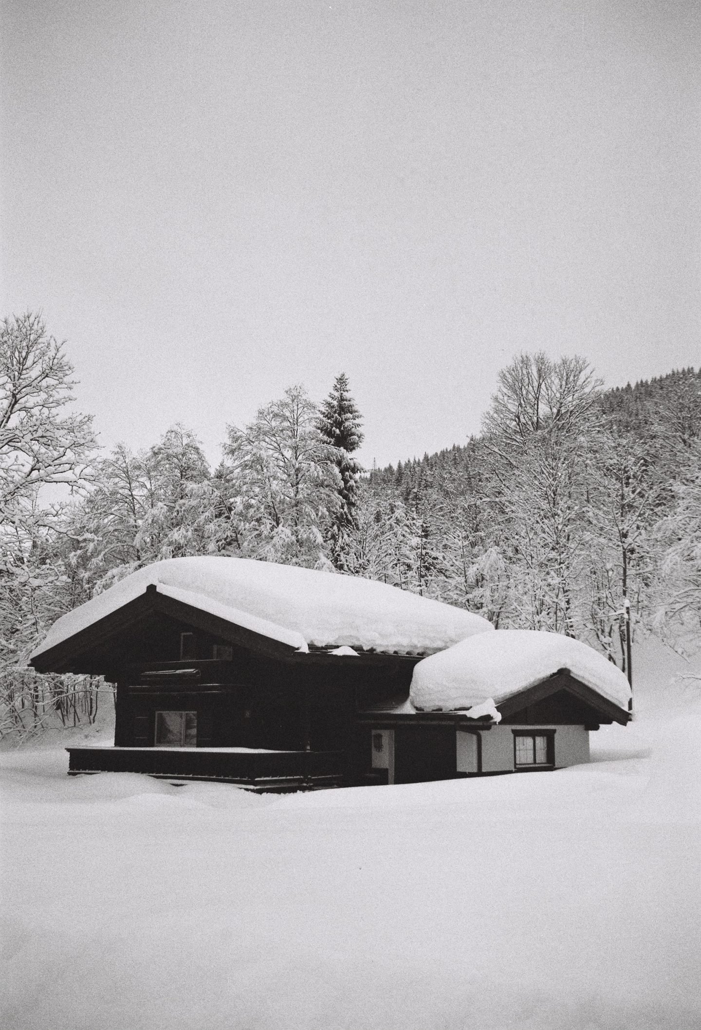 IGNANT-Photography-ArturoBamboo-Snow-18