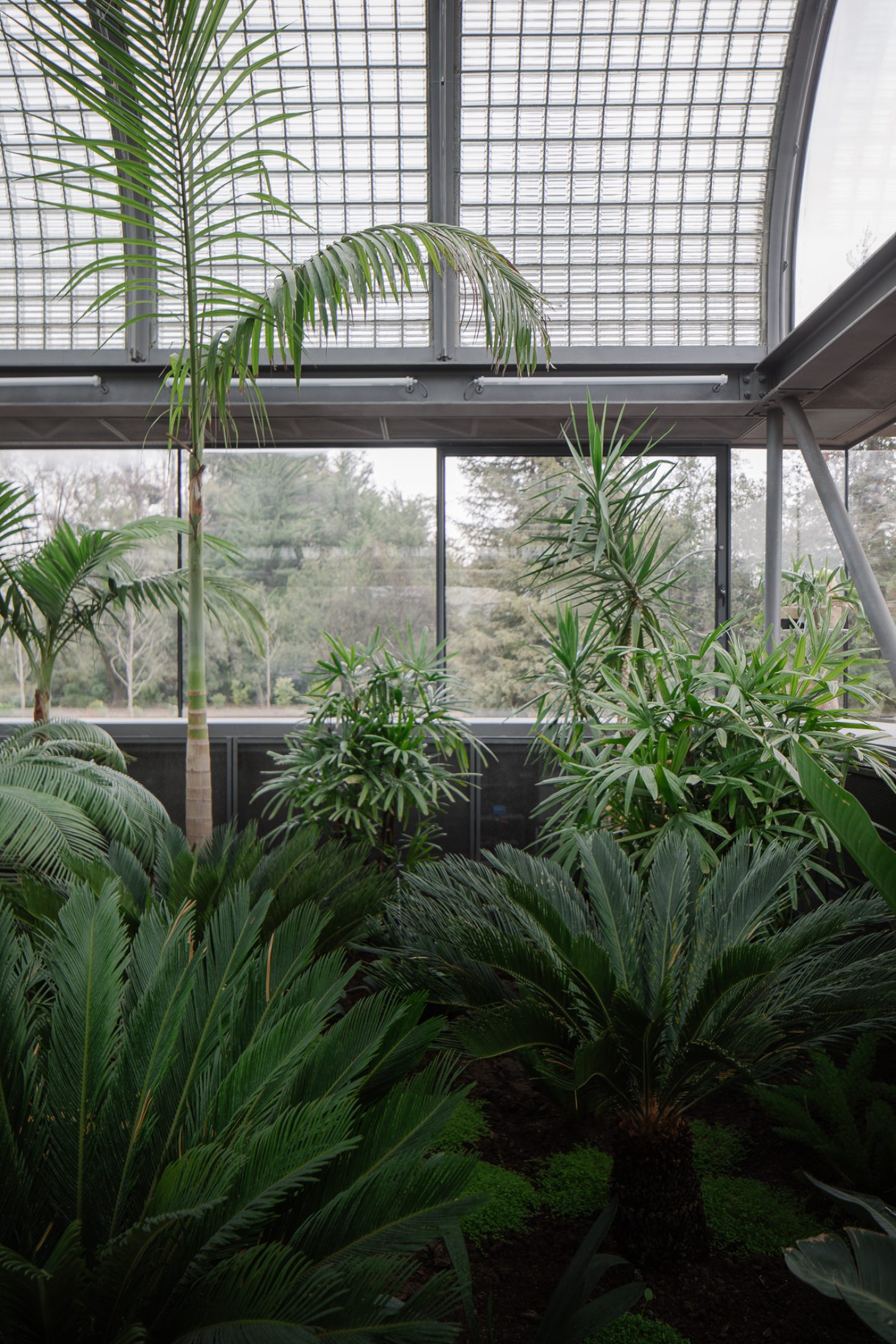 IGNANT_Architecture_PirqueGreenhouse_zegers_2