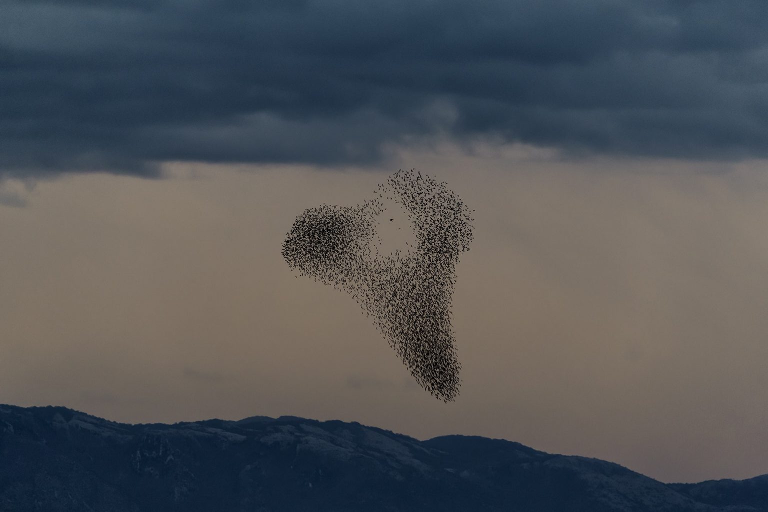 Black Sun: Søren Solkær’s Captivating Record Of The Swirling Displays