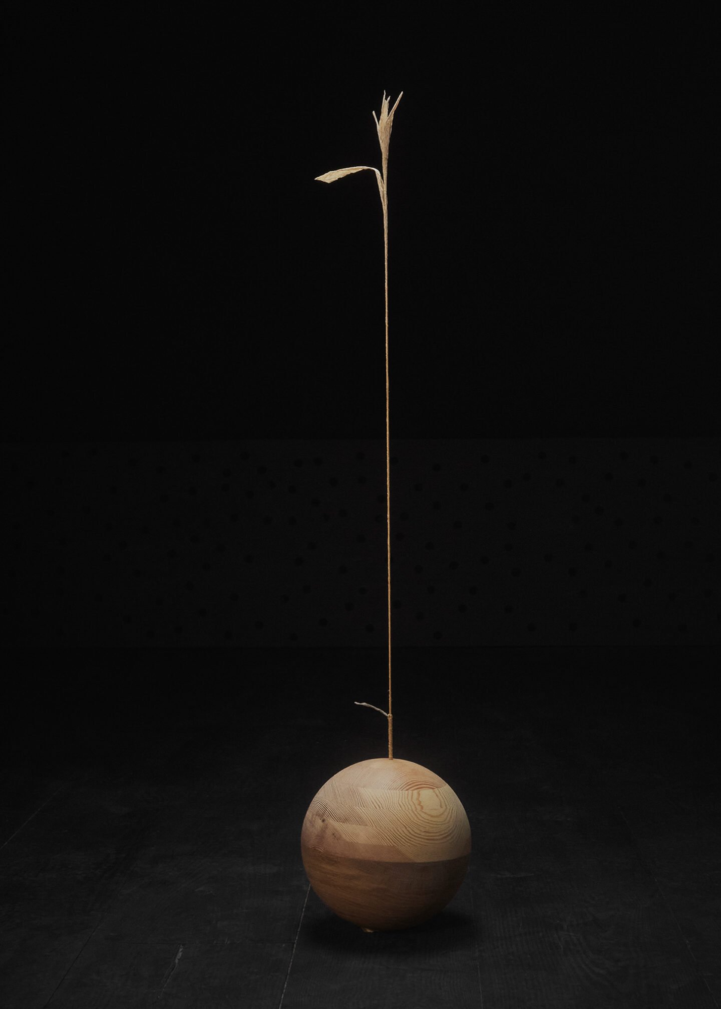 Weight_of_Wood_exhibition_Christian_Jade_Dinesen_Ignant-3