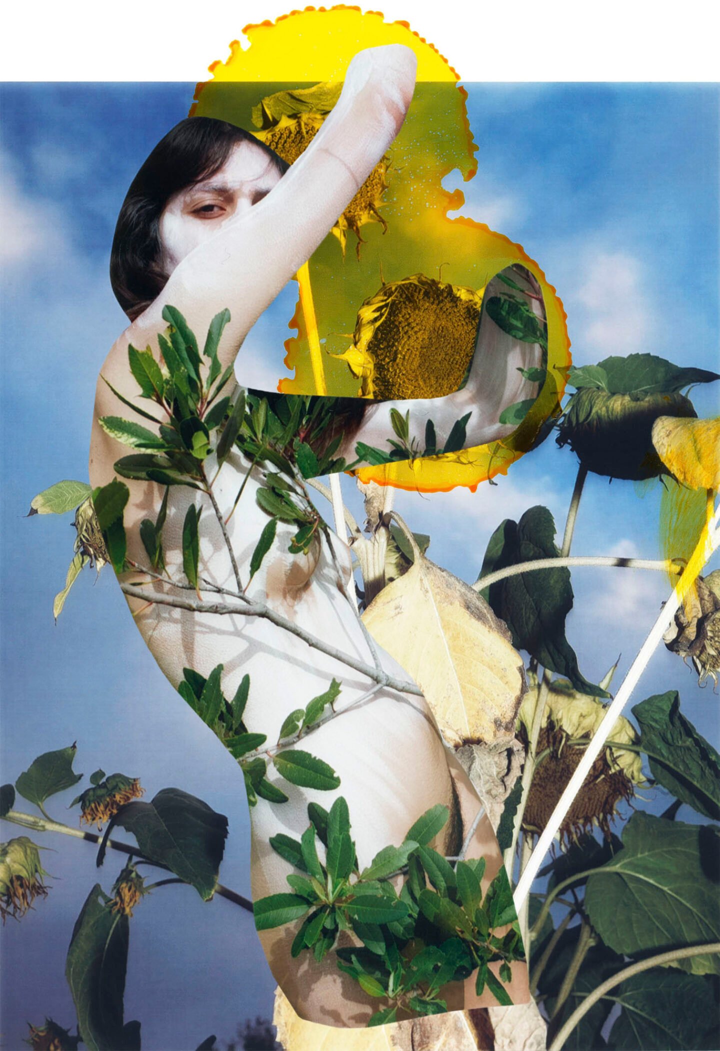 © Viviane Sassen, Juno, from the series series Modern Alchemy, 2022