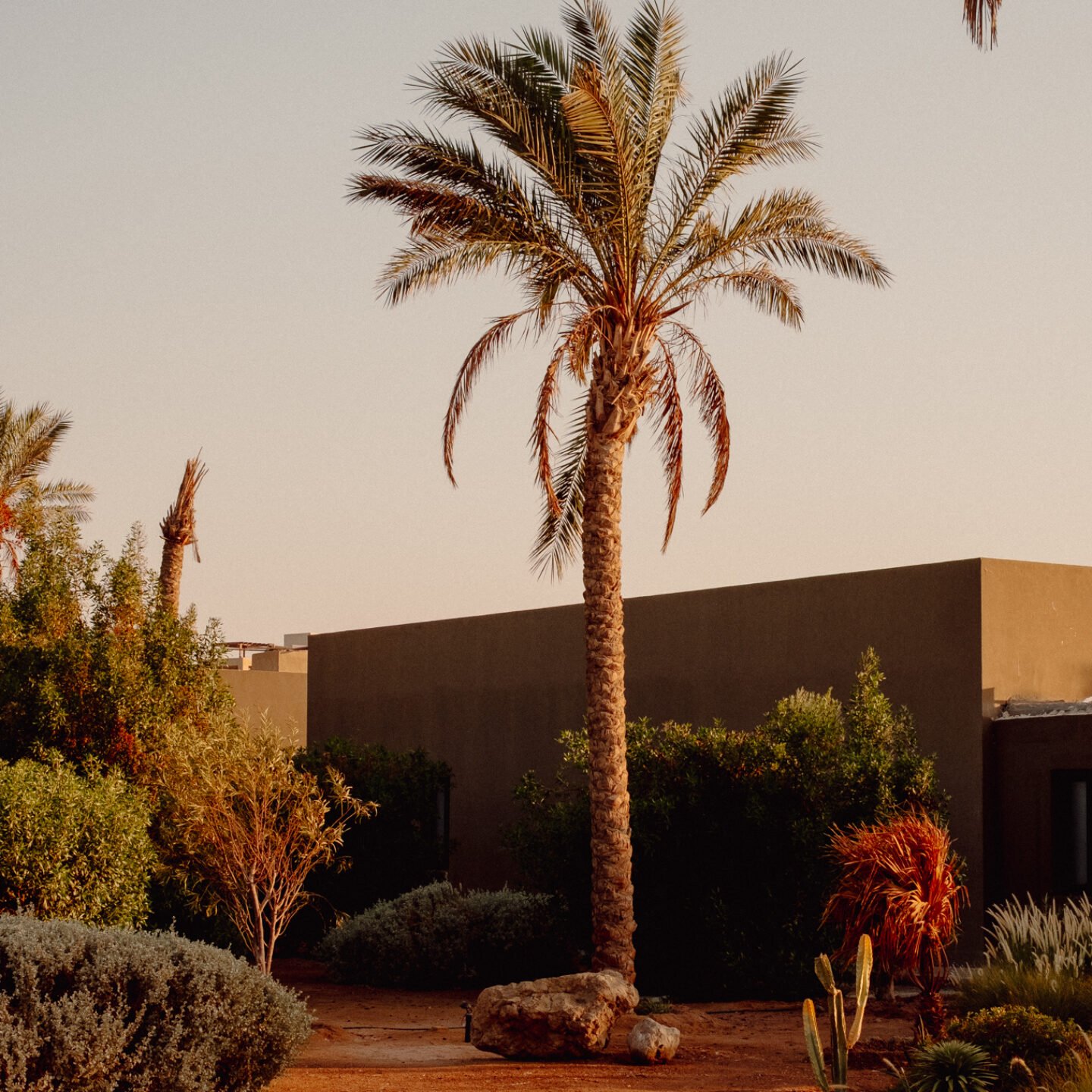 Ignant-Travel-Architecture-Casa-Cook-El-Gouna-Anna-Dorothea-Ker-04