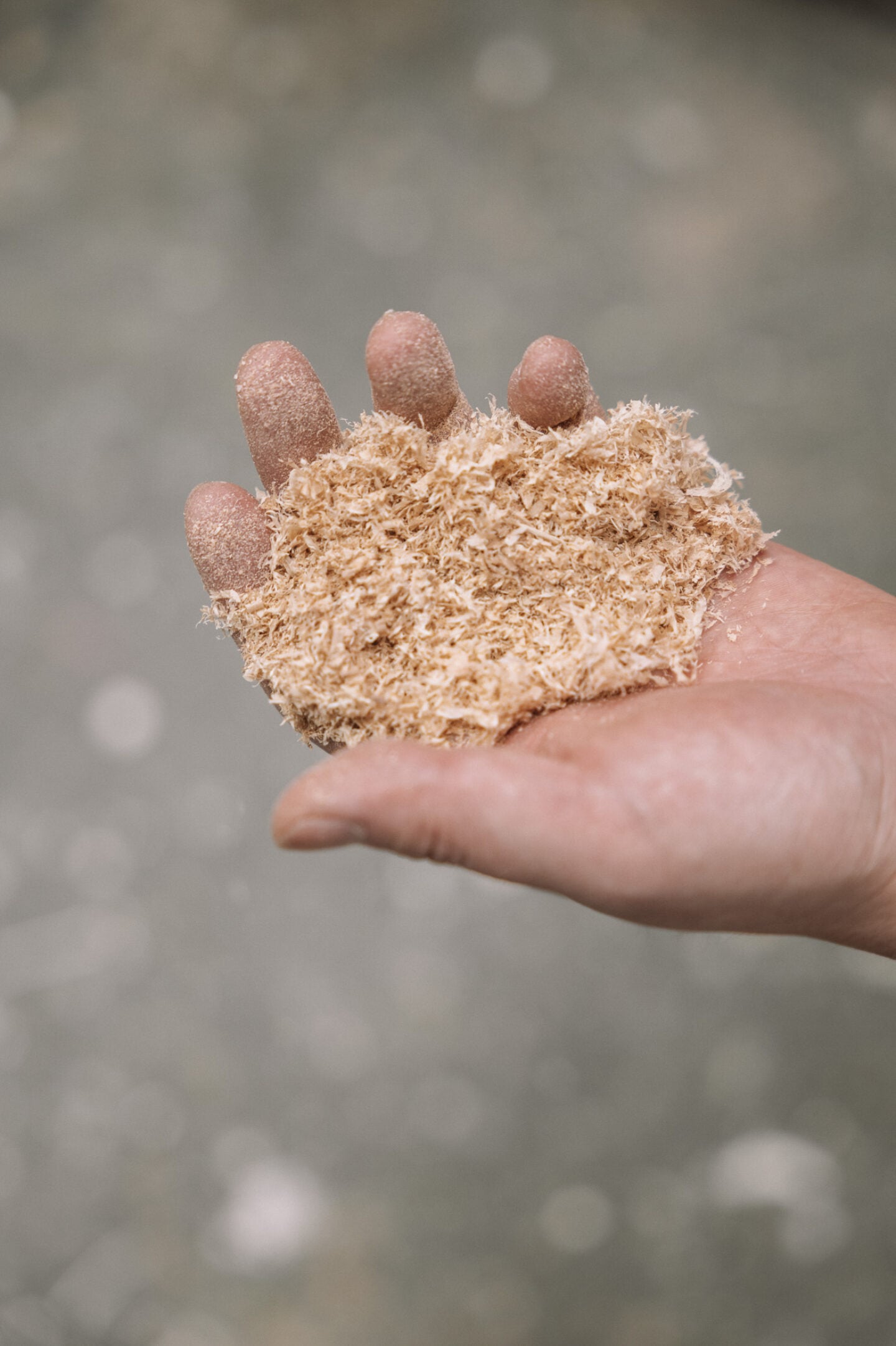 Ignant_Sanghyeok_Lee_Clemens_Poloczek-12