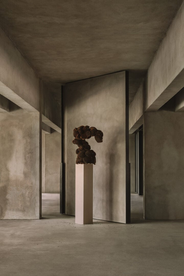 The Art of Flowers: In Conversation with Carolin Ruggaber